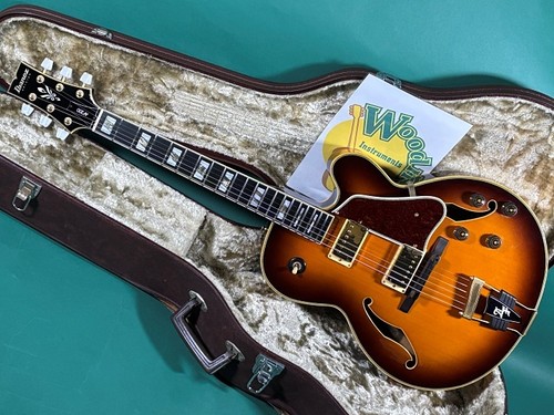 Ibanez 200 used - af-200,