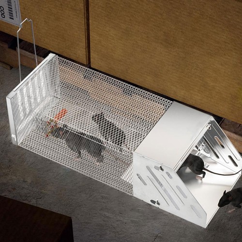 40cm humane live animal trap - 40cm,