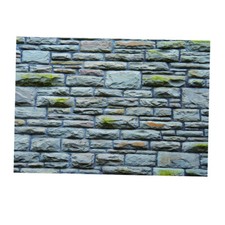 Aquarium Background Fish Tank