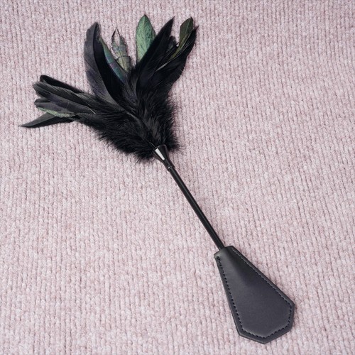 Feather whip spanking - whip, paddle