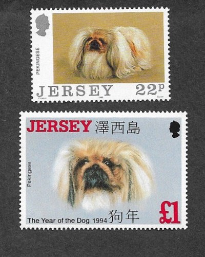 Dogs pekingese - dogs,