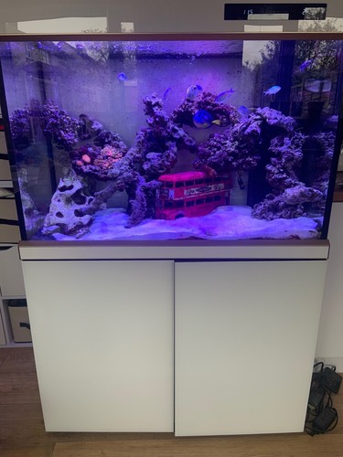 Gallon 400 litre white - gallon,