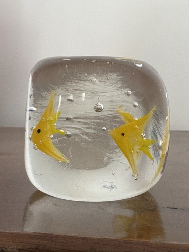 Murano aquarium yellow fish - murano,