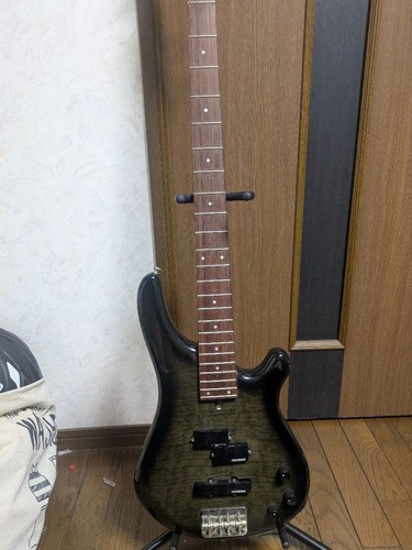 Fernandes electric bass - fernandes,