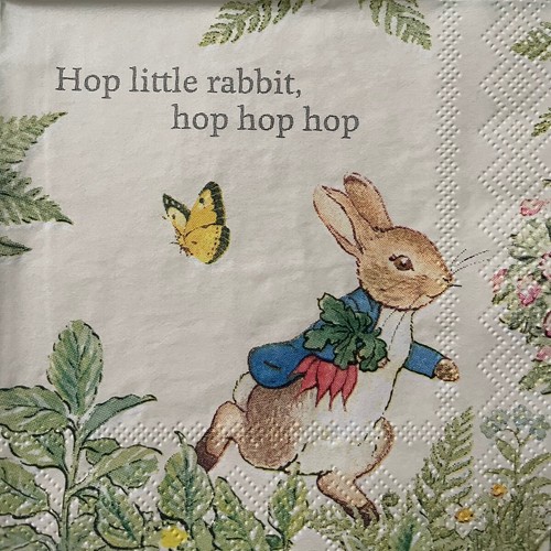 Peter rabbit 25x25cm - x,
