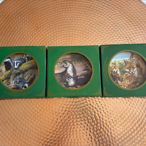 Porcelain plate with display - plate,