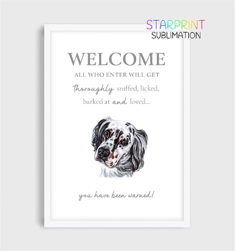 English setter unframed - english, a4