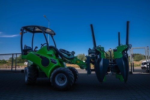 Tree transplanting - tree,