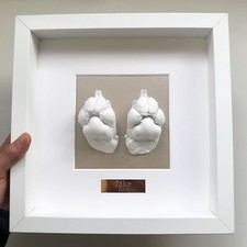 Paw Casting Kit and Frame -