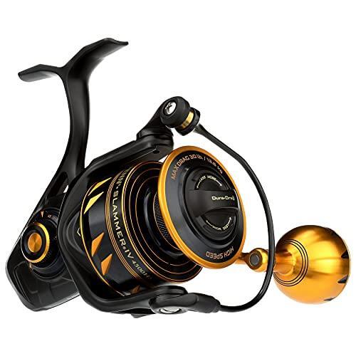 Penn international slammer - international,