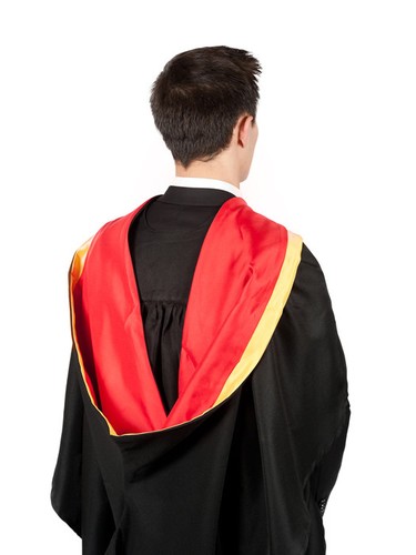 University academic hood - academic,