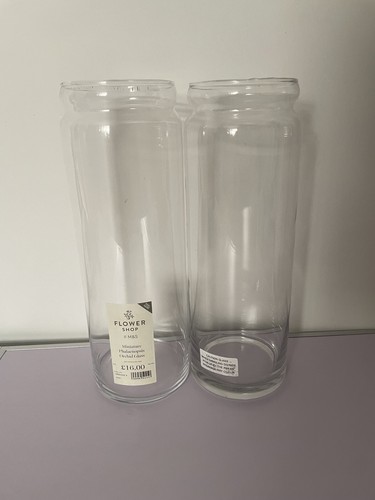 Large glass vases orchids - 2x,