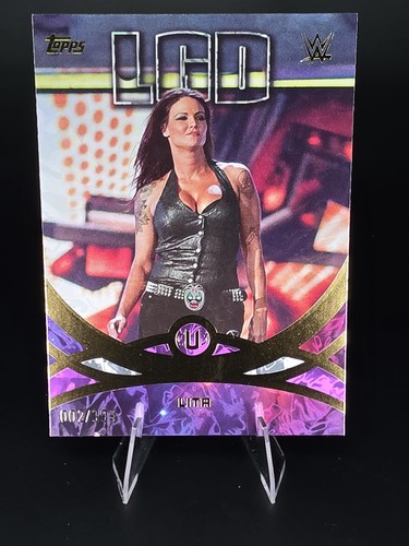2026 topps universe wwe peak - wwe,