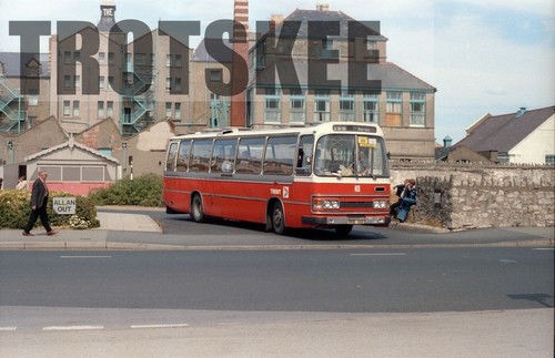 35mm colour negative trent - colour,