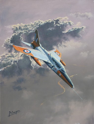 Folland gnat raf - gnat,
