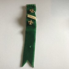 Older BSA Boy Scouts Of