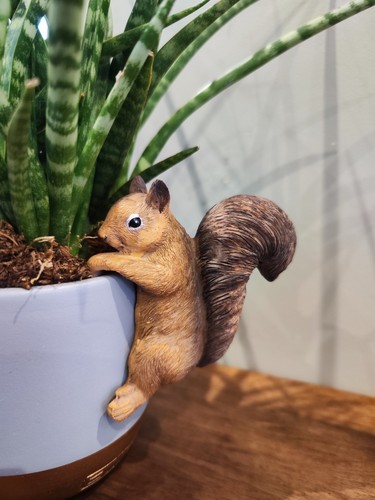Red squirrel pot - hangers, buddy