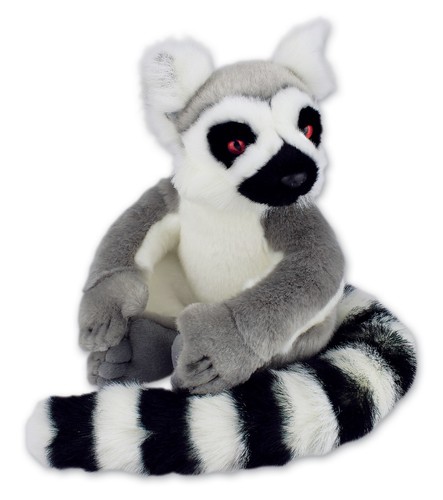 Ring tailed lemur - ring, soft