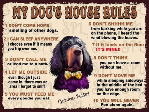 Gordon setter dog house - my,