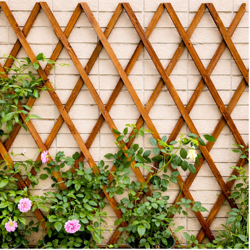 6ft wooden garden trellis - 6ft,