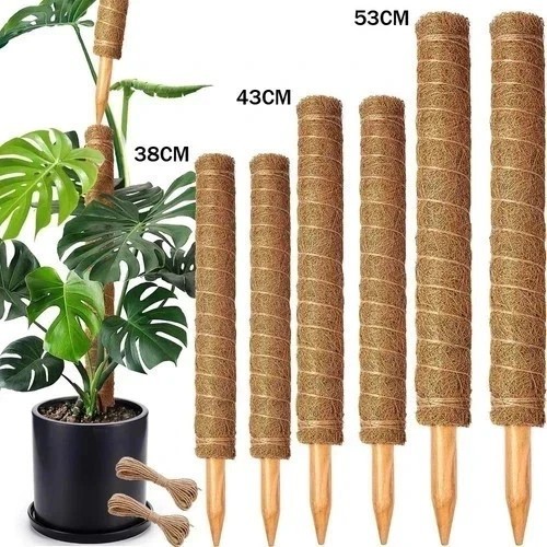 Moss pole extendable - pole,