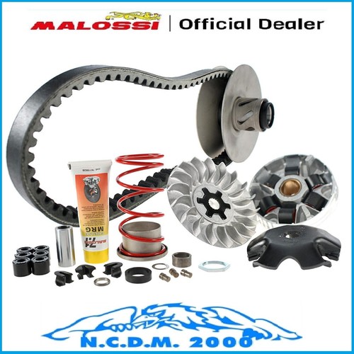 Malossi variator over range - malossi,