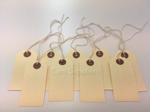 Large gift tags - plain, labels