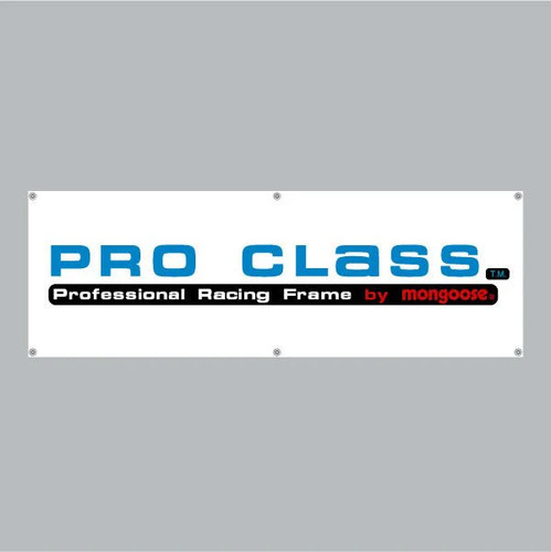 Mongoose pro class - -,