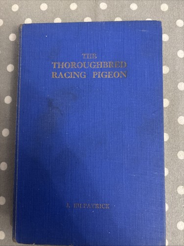 The throughbred racing - the,