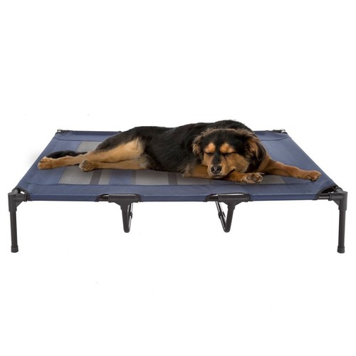 Elevated dog bed x - elevated,