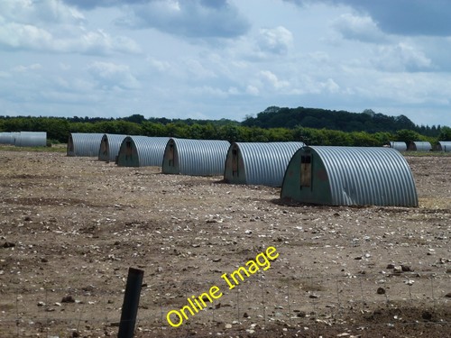 Photo 6x4 arks - 6x4, pigs