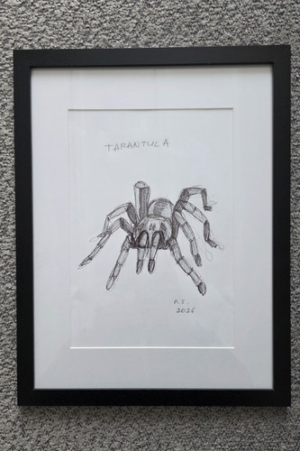 Tarantula framed signed - tarantula,