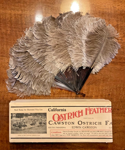 Cawston ostrich farm folding - cawston,