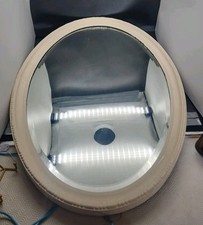 Antique Vintage Oval Painted