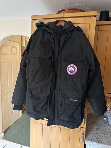 Canada goose expedition - goose,