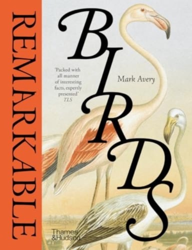 Remarkable birds mark - birds, avery