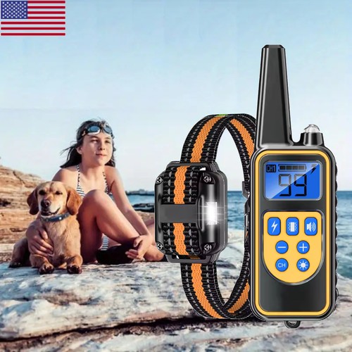 Electric dog training collar - training,
