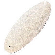 Cuttlefish Bone - Cuttle Fish Calcium for Birds, Snails 1x 2x 5x 10x 15x 20x