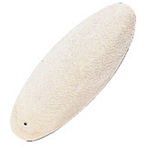 Cuttlefish bone cuttle - bone, fish