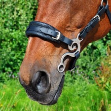 Baroque Hackamore Bitless