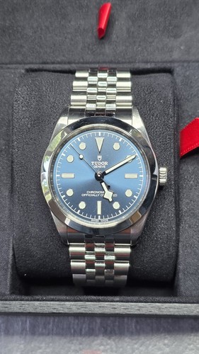 Tudor black bay - bay, blue