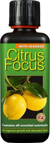 Citrus focus liquid fertiliser - focus,