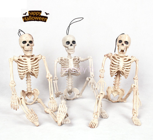 Human skeleton bones real - human, 40cm
