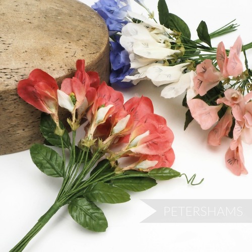 Lara vintage sweet pea - 'lara',