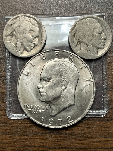 Coins buffalo nickels - coins, 2