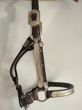 KATHY'S Gorgeous Santana Silver Custom Horse Size Show HALTER & LEAD