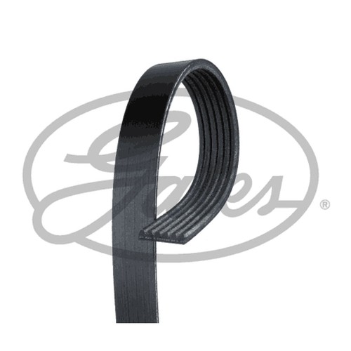 Rib multi drive belt - 6,