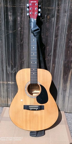 Elevation guitar 100 - w-100-n-a,