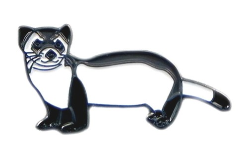 Ferret polecat stoat - polecat,