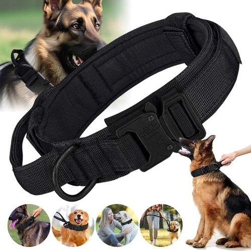 Tactical dog collar - collar, with
